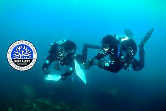 conservation diver course