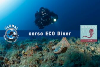 Corso ECO Diver Reef Check Italia