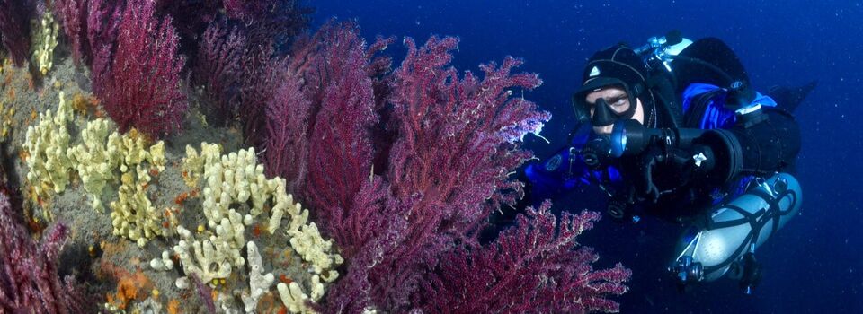 diving in Portofino © Bruno Borelli