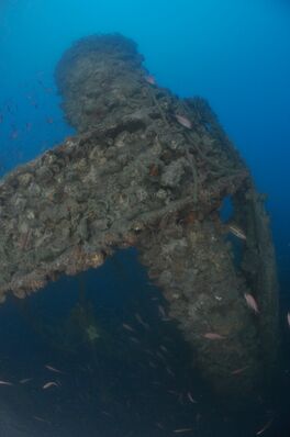 relitto Saint Nazaire © Portofino Divers