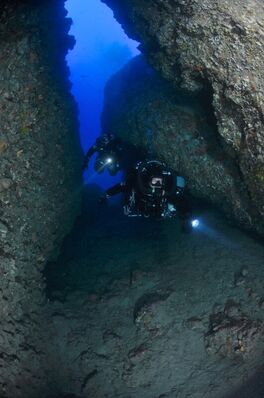 Diving in Portofino © Bruno Borelli