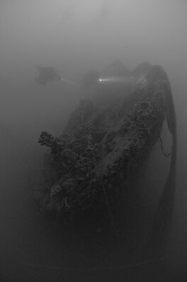 Relitto piroscafo Calabria © Portofino Divers